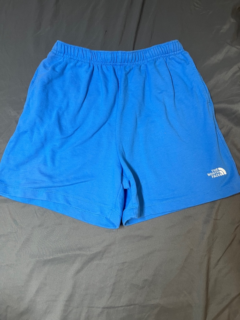 The North Face Men's  Blue Athletic Shorts